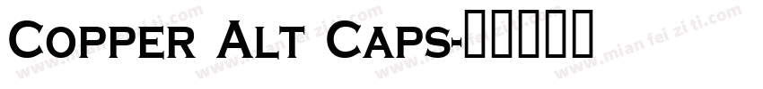 Copper Alt Caps字体转换